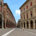 Bologna, civetta salvata a Medicina: la LIPU la cura e la prepara al ritorno in libertà