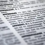 “Finestre sul futuro: Reggio Emilia apre il cantiere del nuovo patto educativo”