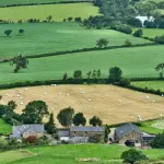 Dove la scuola incontra la terra: l’Agrinido “Grappolino” premiato come eccellenza rurale
