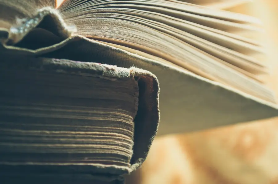 Bologna apre i mondi della lettura: convegno e workshop in Salaborsa