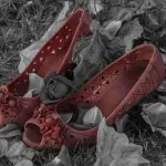 Femminicidio Alessandra Matteuzzi: La condanna definitiva e l'impegno della città