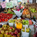 Prezzi al consumo ad agosto 2025: l’analisi dell’Ufficio Statistica di Bologna