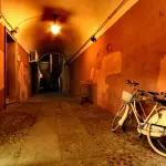 Educazione sostenibile: Bologna lancia “Formiche Verdi”