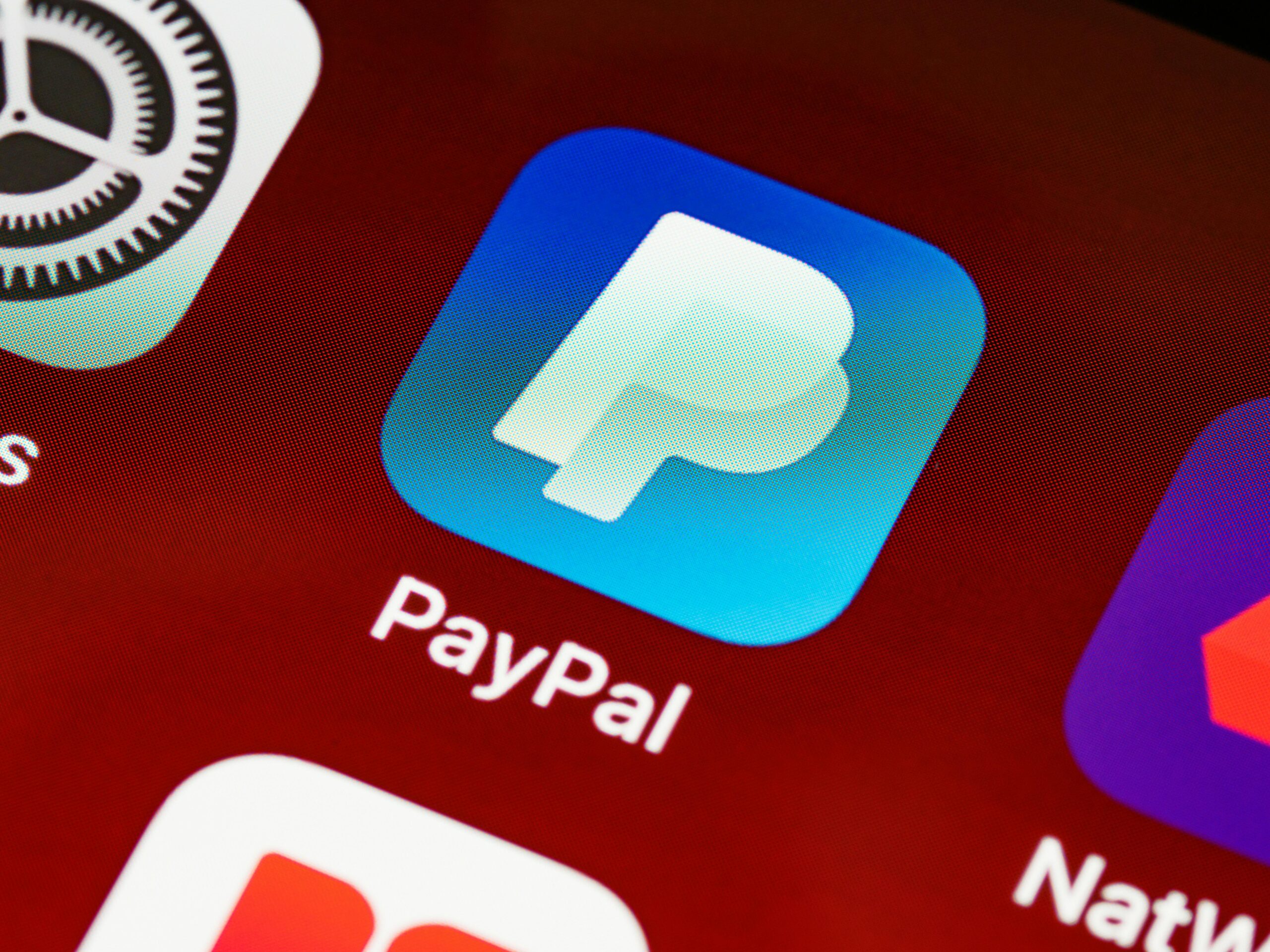 Numero verde PayPal Italia: come orientarsi tra assistenza, contatti e procedure per risolvere i problemi in modo efficace