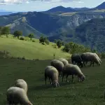 BIS Appennino, riparte il Tour dei Territori: a Vergato una mattina per scegliere il proprio futuro