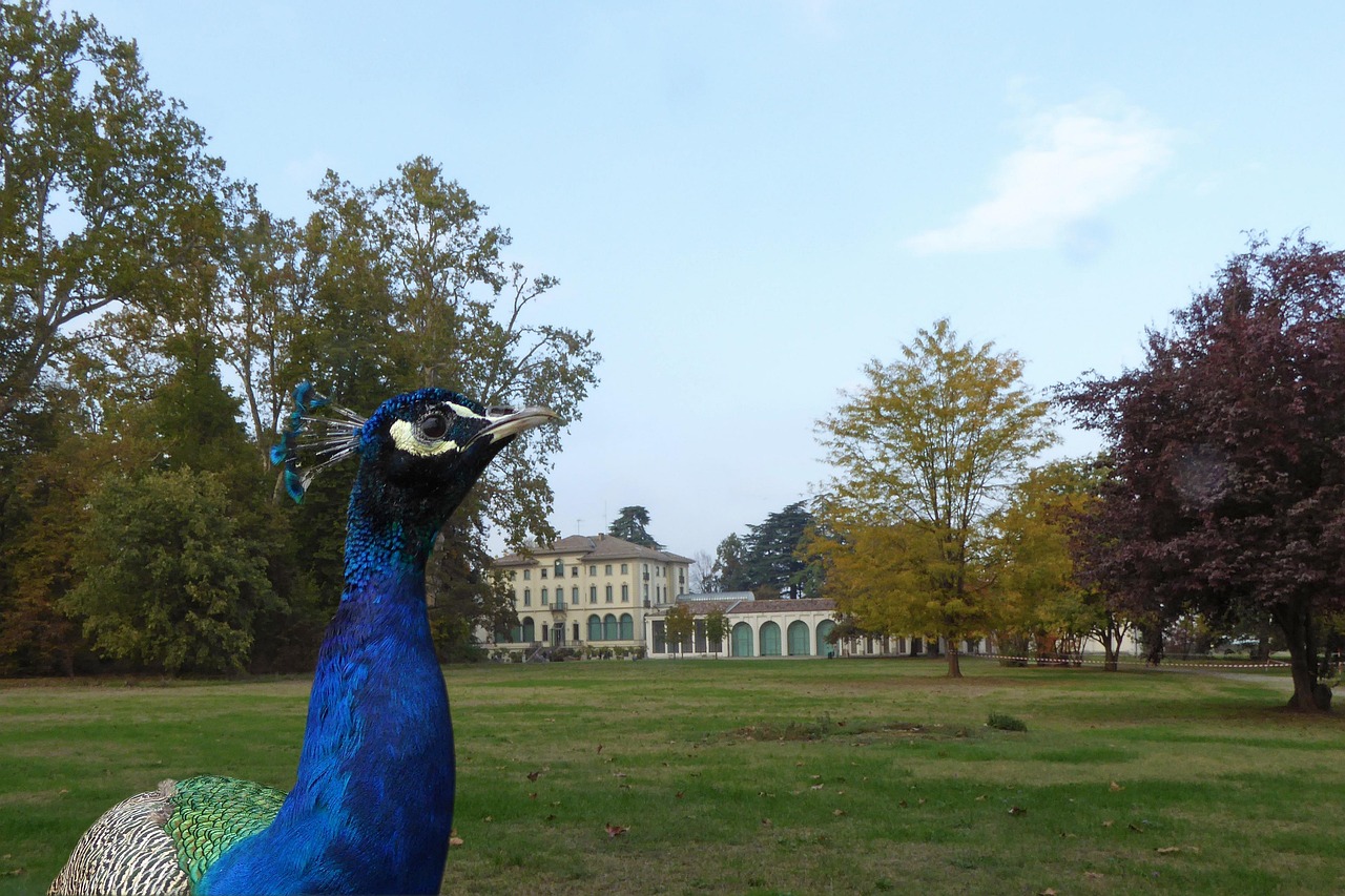 “Imparare a guardare con occhi liberi”: a Reggio Emilia l’arte di Margaret Bourke-White ispira una lezione di libertà