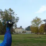 “Imparare a guardare con occhi liberi”: a Reggio Emilia l’arte di Margaret Bourke-White ispira una lezione di libertà