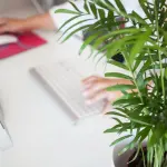 CNA Emilia-Romagna, un ecosistema pensato per la nuova imprenditoria