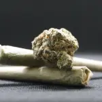 Spaccio in zona Mazzofanti: tre arresti della Squadra Mobile di Bologna