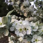 Giornate FAI di Primavera: in Emilia-Romagna 53 luoghi aperti tra arte, storia e tradizioni