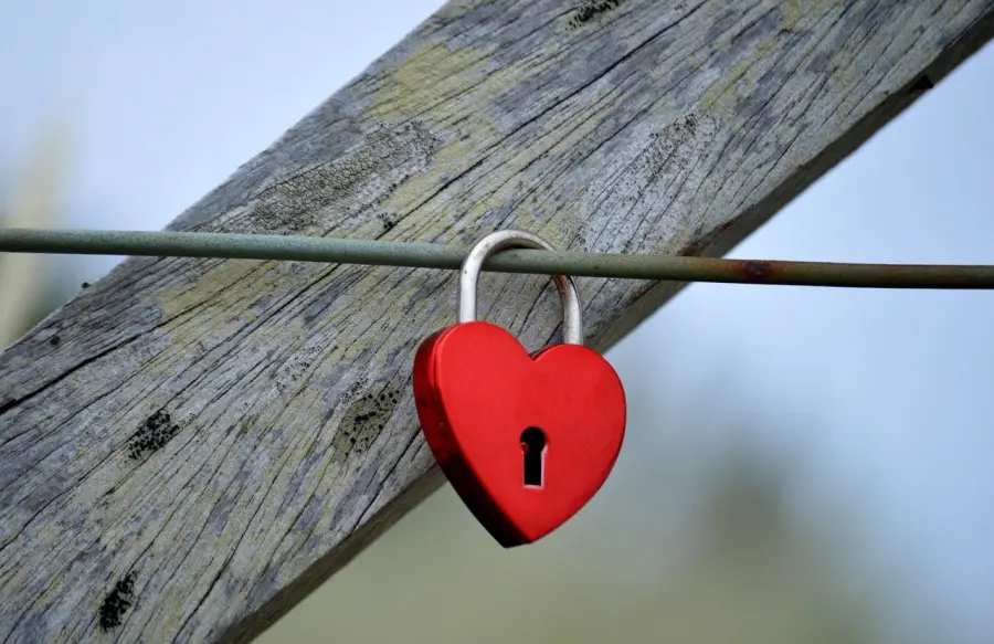 Cura alla persona, in Emilia-Romagna la sicurezza diventa uno standard condiviso per imprese e utenti