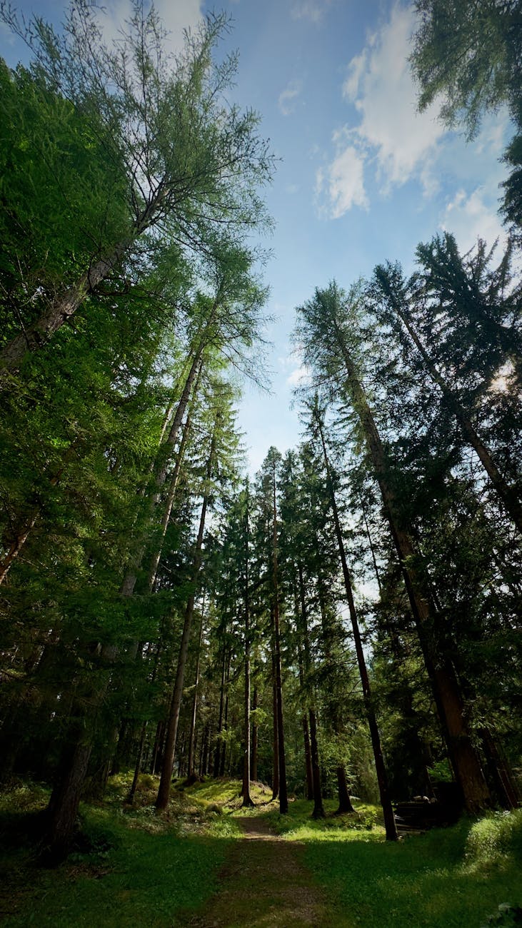 In bici tra paesaggi e alberi monumentali: da Reggio Emilia ad “Alberi Festival”