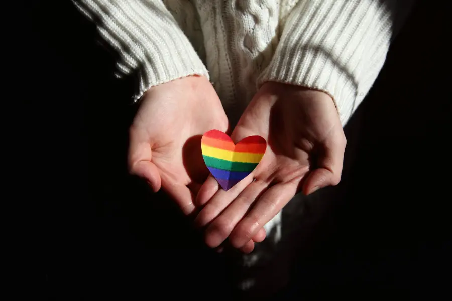 Emilia-Romagna, manifesti contro l'odio LGBTQIA+