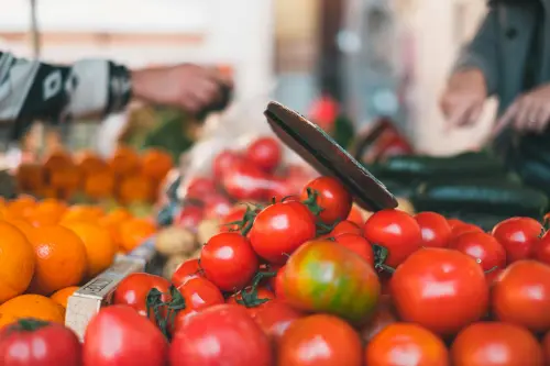 Bologna, “Diritto al ciBO” chiude il percorso sul cibo