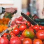Bologna, “Diritto al ciBO” chiude il percorso sul cibo