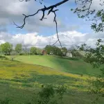 Bologna Montana Art Trail, 1.500 camminatori sul percorso di 100 km
