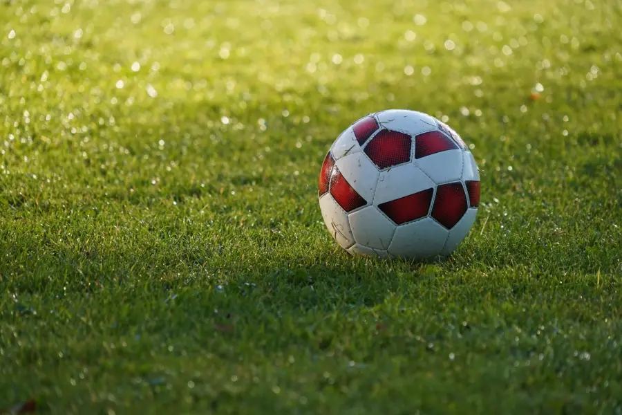 Nuovo stadio alla Fiera, Confcommercio Bologna sostiene il progetto