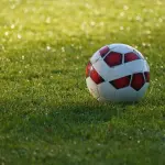 Nuovo stadio alla Fiera, Confcommercio Bologna sostiene il progetto