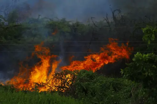 Incendi in Emilia-Romagna, allerta arancione fino al 7 settembre