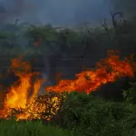 Incendi in Emilia-Romagna, allerta arancione fino al 7 settembre