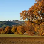 Turismo Emilia-Romagna, dal WTM di Londra parte la campagna internazionale 2025-2026