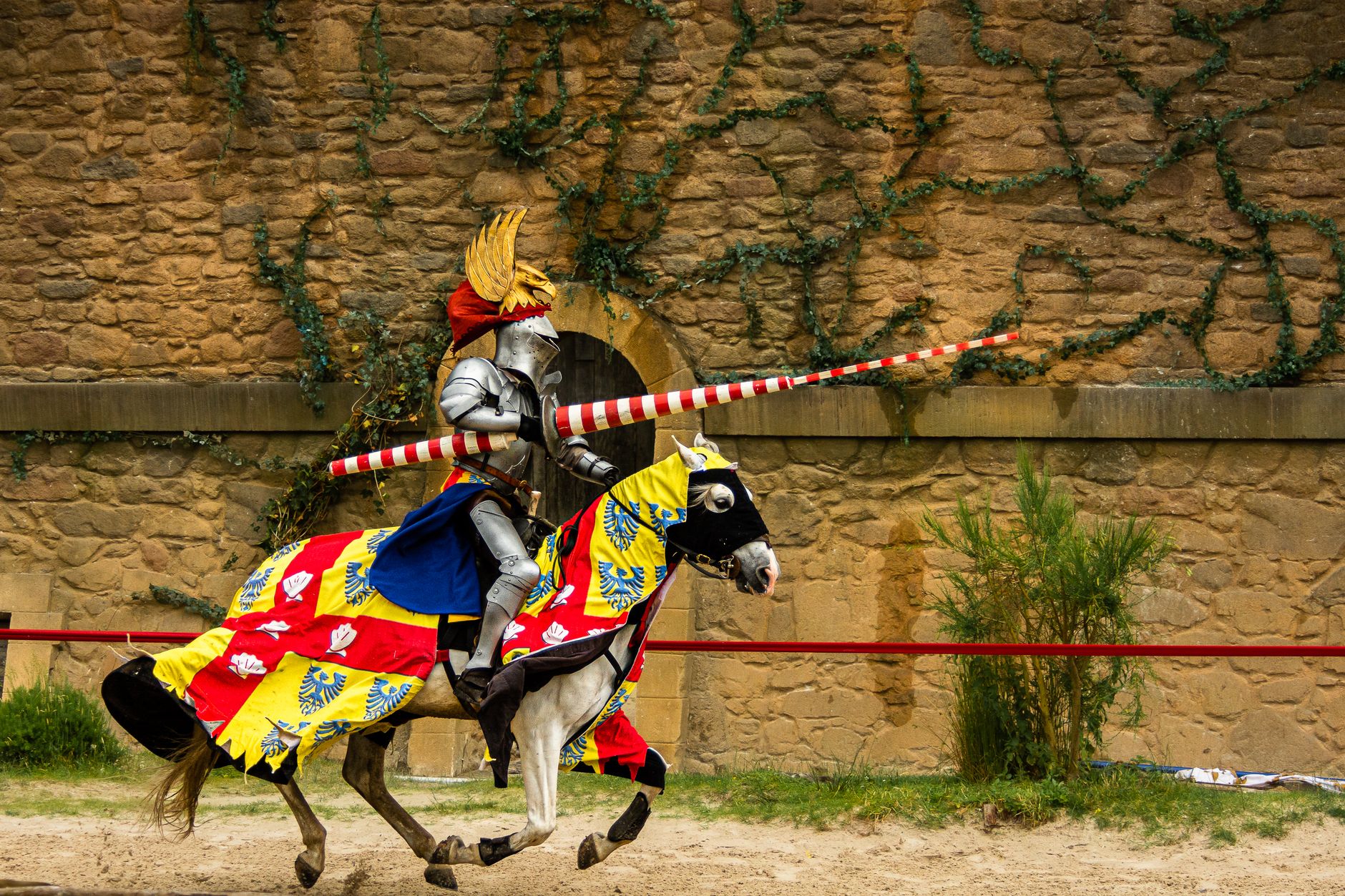 Medicina, torna Il Barbarossa: nuovo Imperatore dopo 25 anni